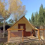 Kemping Zecamping 4 Etoiles Pet Friendly Animations Bien-etre Villeneuve-lès-Béziers